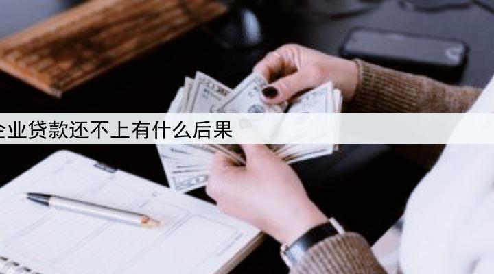 企业贷款还不上有什么后果