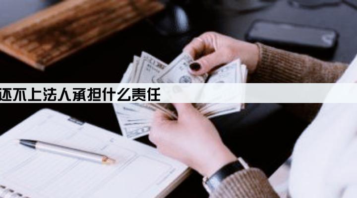 公司贷款还不上法人承担什么责任