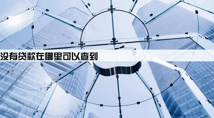 企业有没有贷款在哪里可以查到