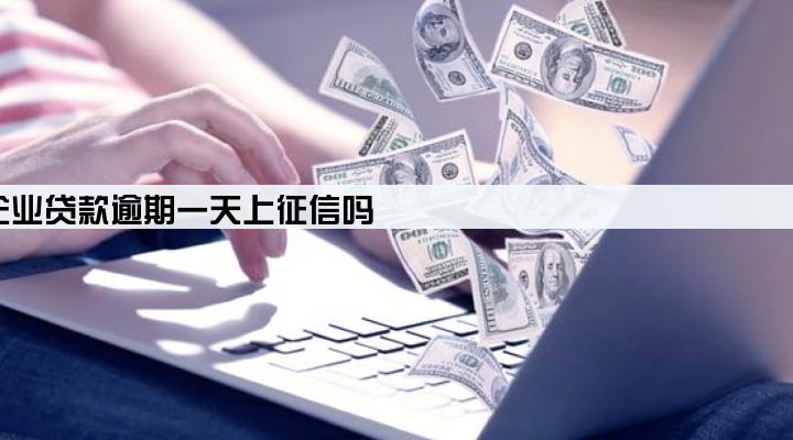 企业贷款逾期一天上征信吗