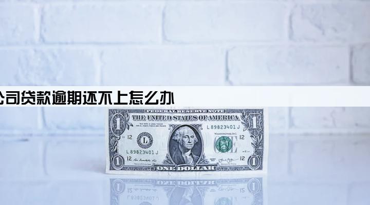 公司贷款逾期还不上怎么办