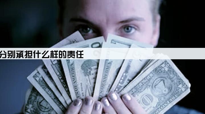 企业贷款公司法人和股东分别承担什么样的责任