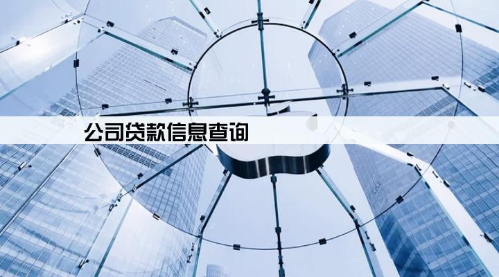 公司贷款信息查询