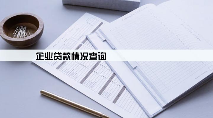 企业贷款情况查询