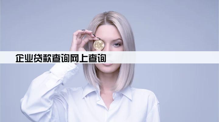 企业贷款查询网上查询