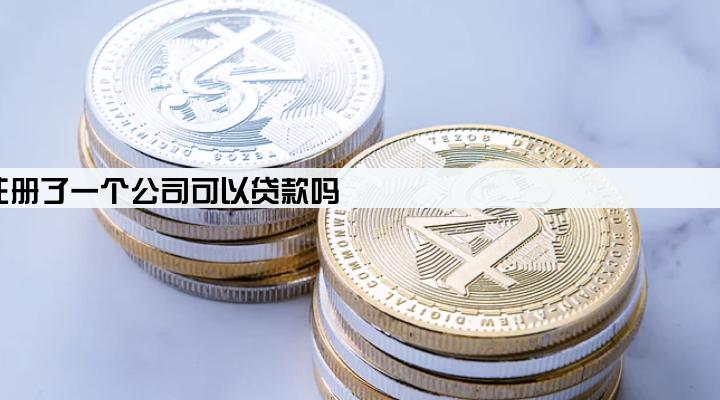 注册了一个公司可以贷款吗