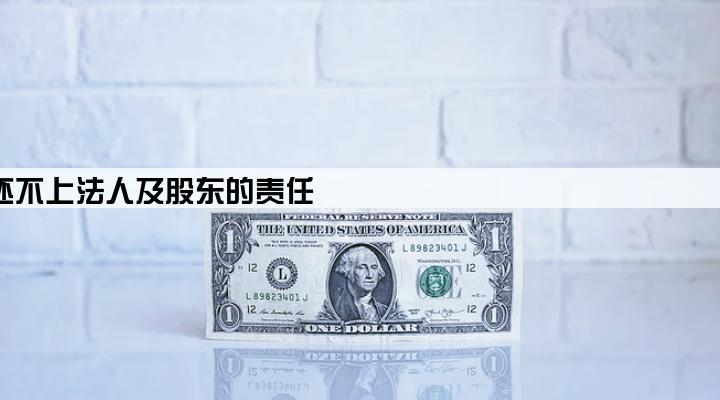 有限公司贷款还不上法人及股东的责任