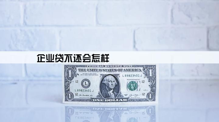 企业贷不还会怎样