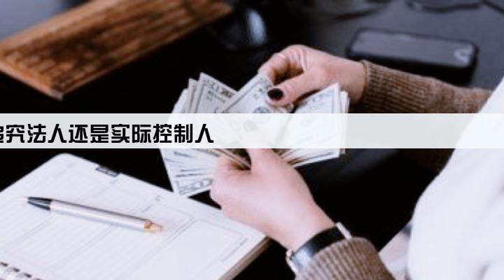 公司还不上贷款,追究法人还是实际控制人