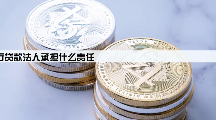 公司还不了银行贷款法人承担什么责任