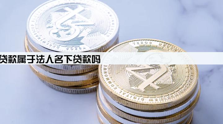 公司企业贷款属于法人名下贷款吗