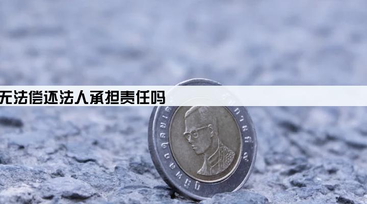 公司贷款无法偿还法人承担责任吗