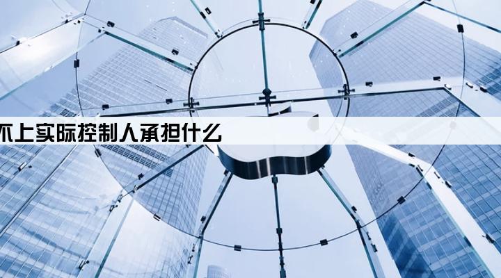 公司贷款还不上实际控制人承担什么