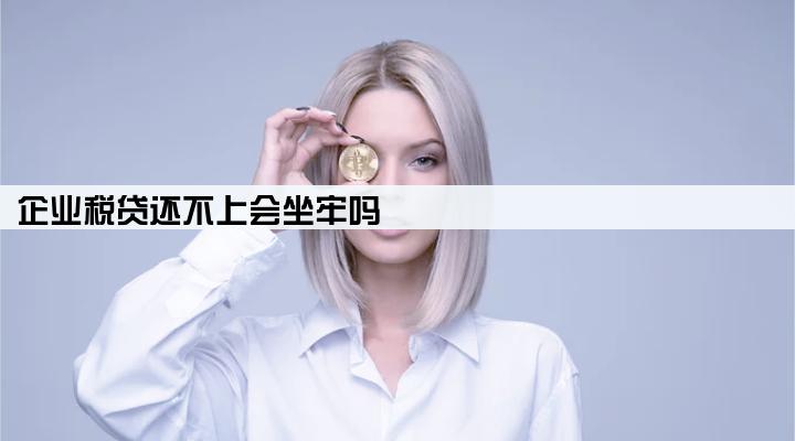 企业税贷还不上会坐牢吗