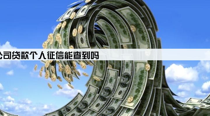 公司贷款个人征信能查到吗