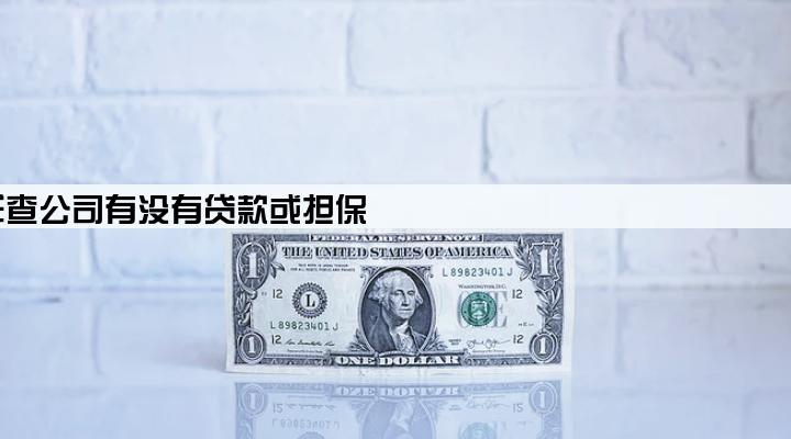 怎样查公司有没有贷款或担保