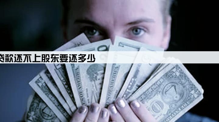 有限责任公司贷款还不上股东要还多少