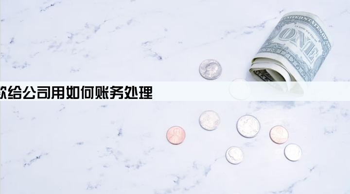 法人向银行贷款给公司用如何账务处理