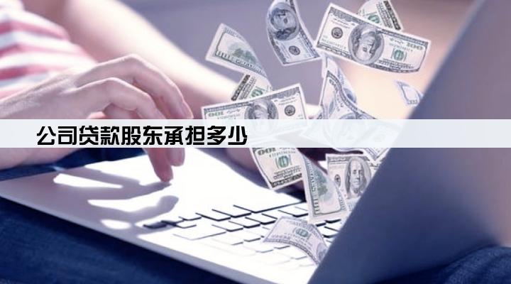 公司贷款股东承担多少