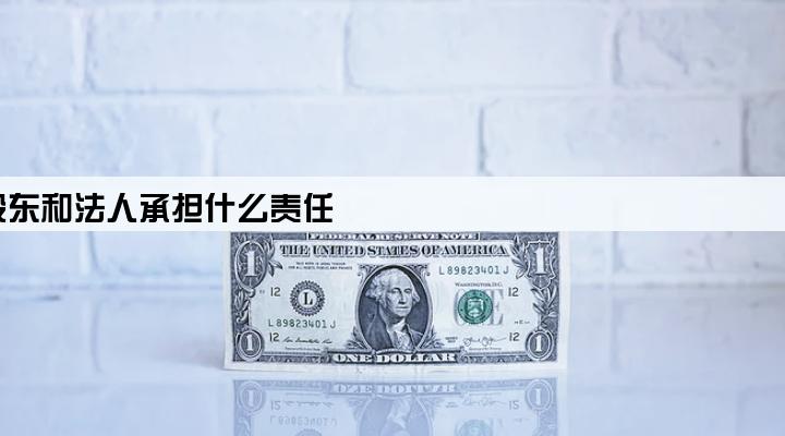 以公司名义贷款,股东和法人承担什么责任