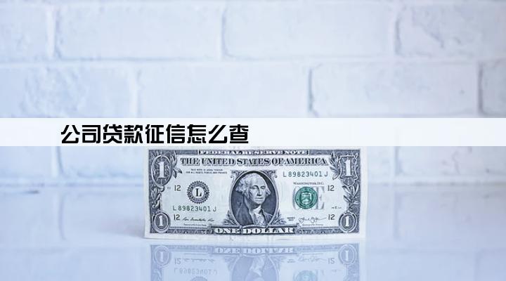 公司贷款征信怎么查