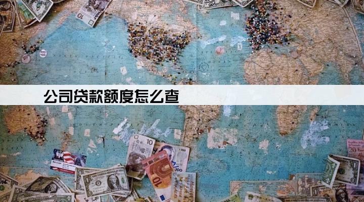 公司贷款额度怎么查