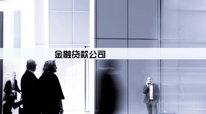 金融贷款公司