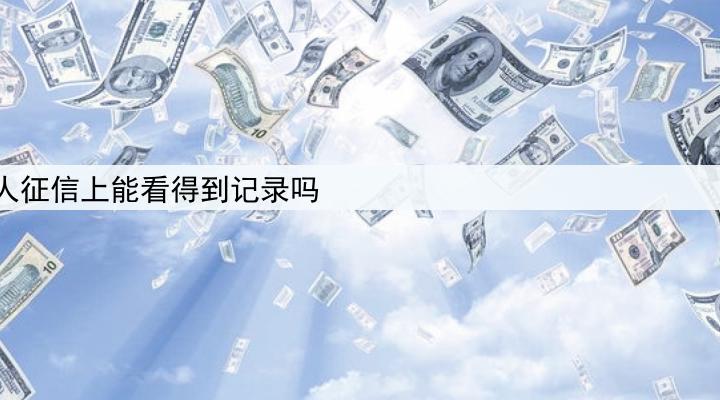 企业贷款个人征信上能看得到记录吗