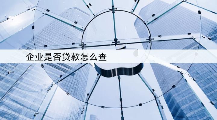 企业是否贷款怎么查