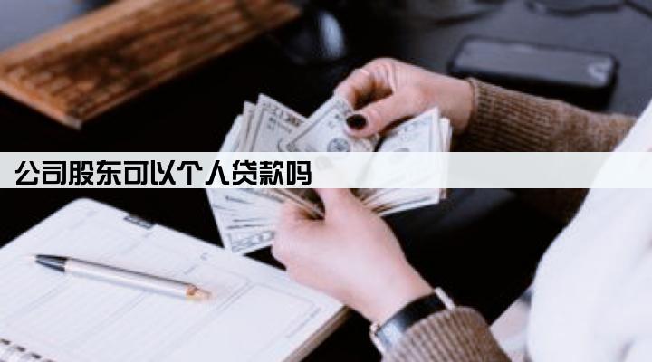 公司股东可以个人贷款吗