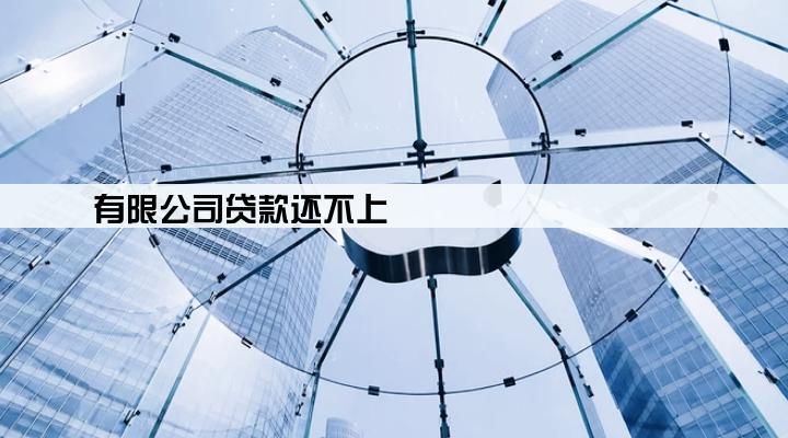 有限公司贷款还不上