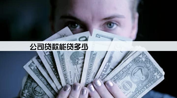 公司贷款能贷多少