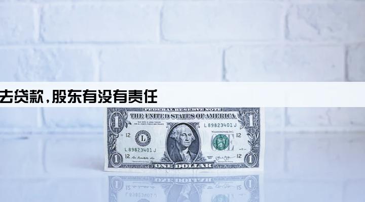 公司法人拿公司去贷款,股东有没有责任