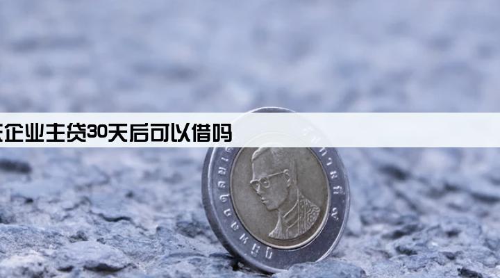 京东企业主贷30天后可以借吗