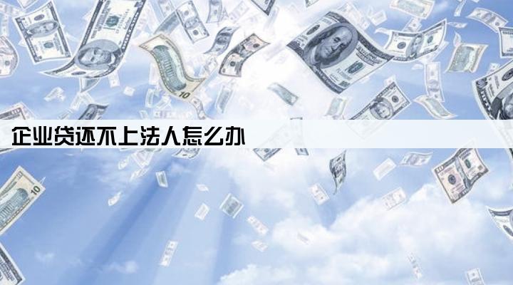 企业贷还不上法人怎么办