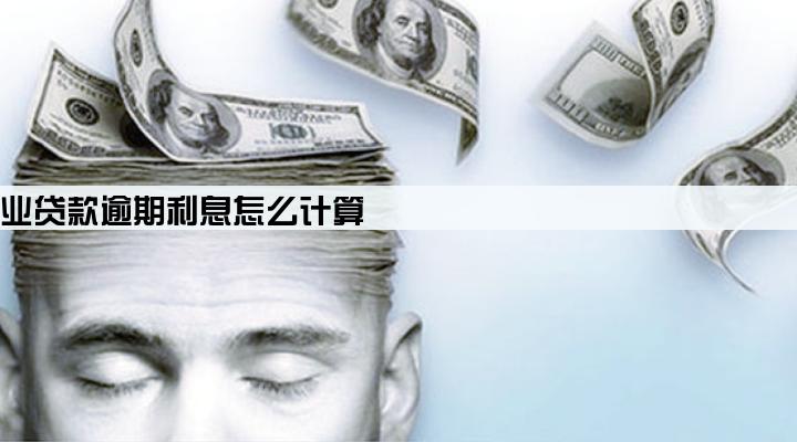 建行企业贷款逾期利息怎么计算