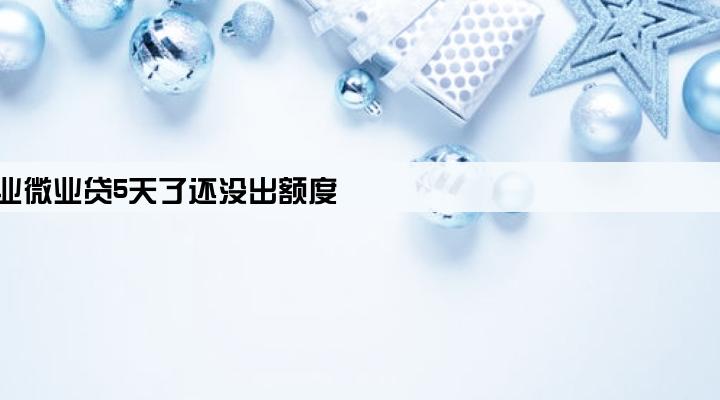 企业微业贷5天了还没出额度