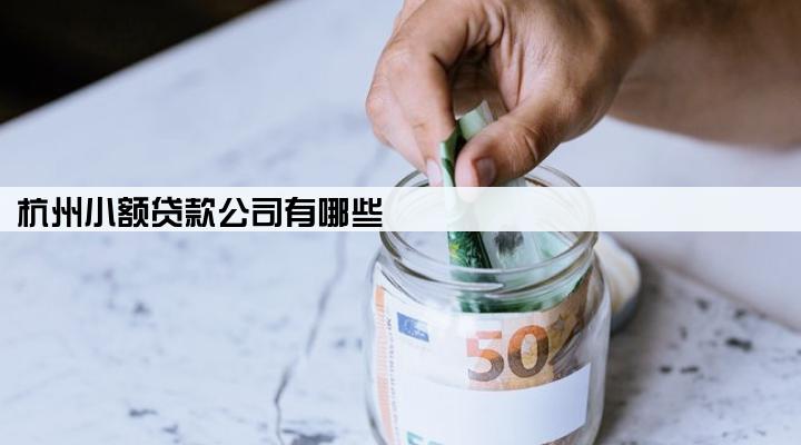 杭州小额贷款公司有哪些