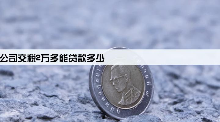 公司交税2万多能贷款多少