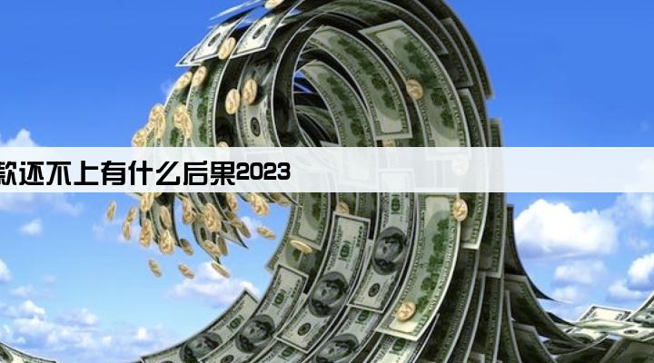 营业执照贷款还不上有什么后果2023