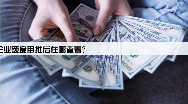 网商贷企业额度审批后在哪查看?