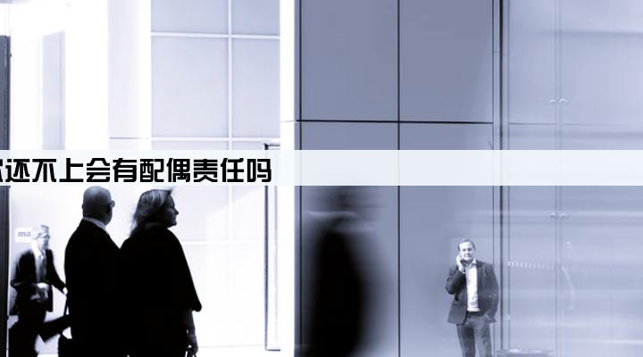 老公以公司名义贷款还不上会有配偶责任吗