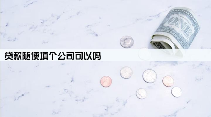 贷款随便填个公司可以吗