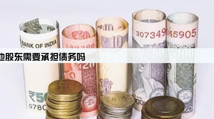 法人拿公司营业执照贷款,其他股东需要承担债务吗