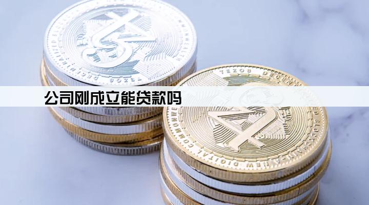 公司刚成立能贷款吗