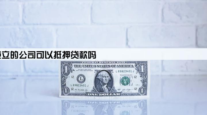 新成立的公司可以抵押贷款吗