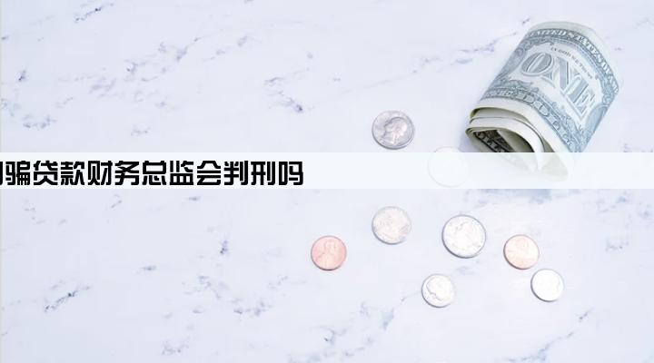 公司骗贷款财务总监会判刑吗