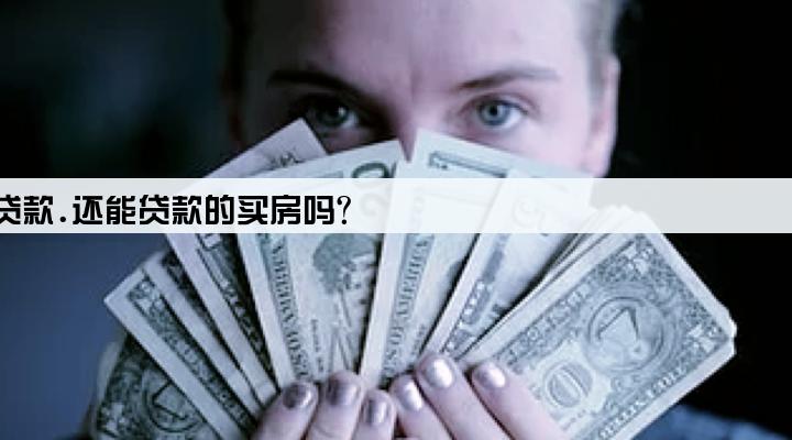 名下公司有贷款.还能贷款的买房吗?