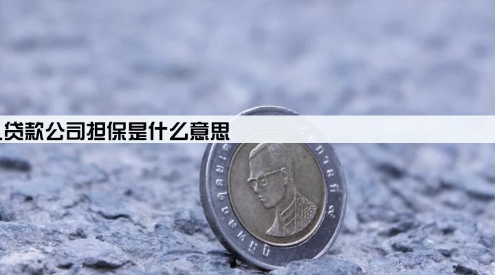 个人贷款公司担保是什么意思