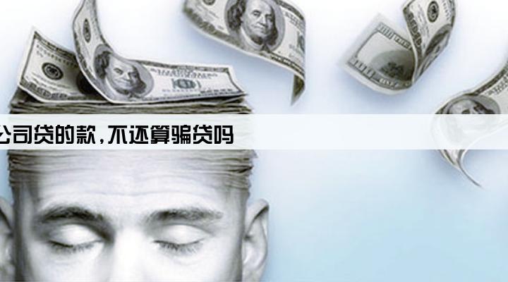 保险公司贷的款,不还算骗贷吗